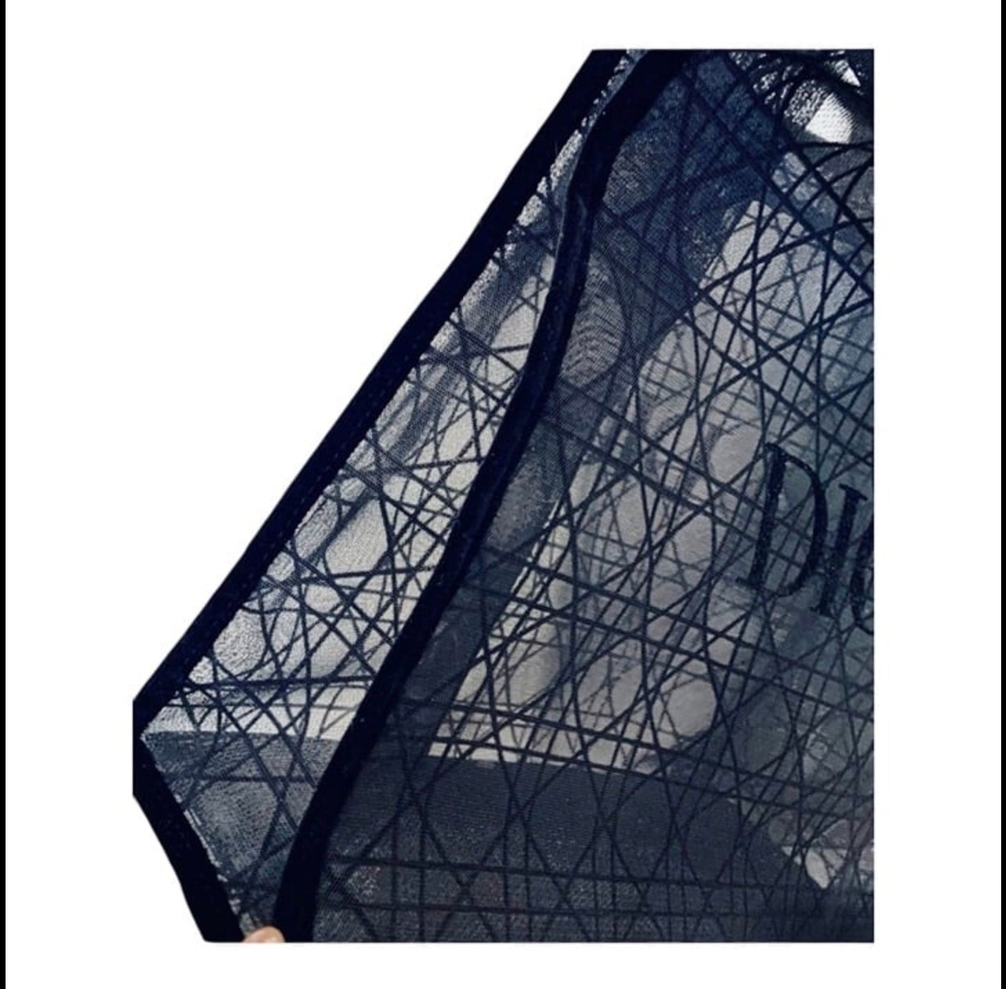 Dior mesh tote bag